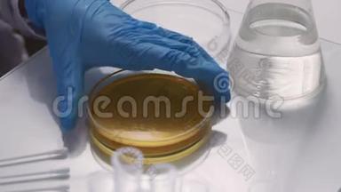 实验室医生用无菌拭子在培养皿上做抗生物记录，以测试分离的